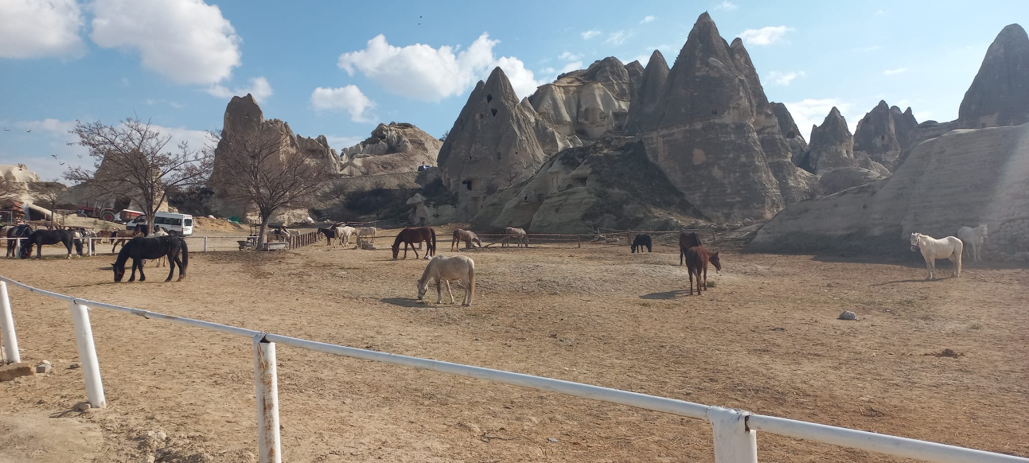 Gün batımı at turları Kapadokya