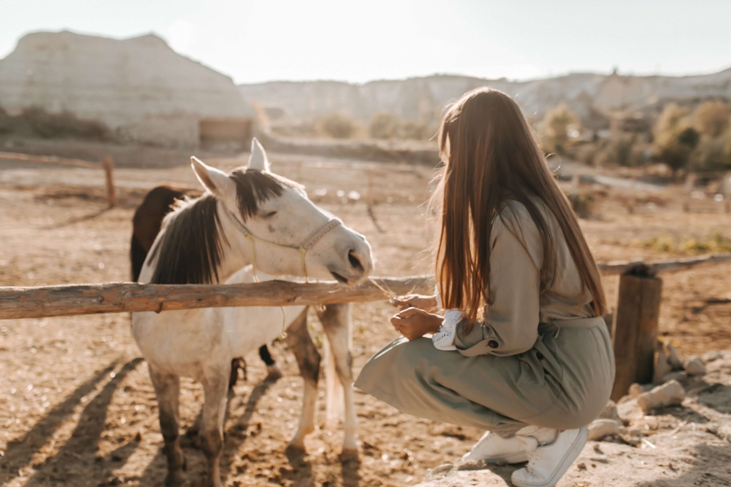 Kapadokya Gün Batımı At Turları